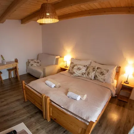 Guest house Skorusina *