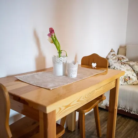 Penzión pre hostí Skorusina