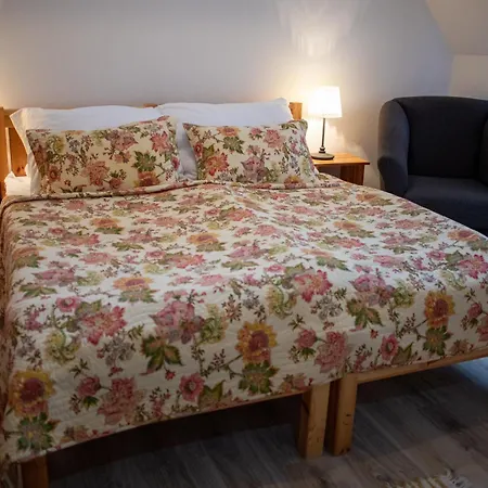 Skorusina Guest house *